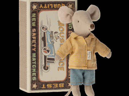 Big brother mouse in matchbox Supply